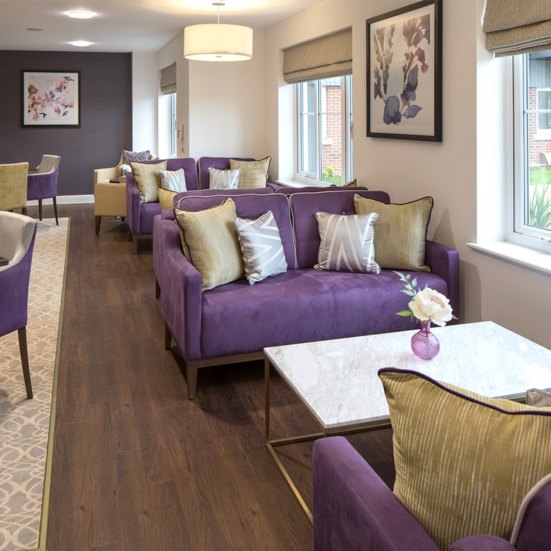 Dark timber flooring, purple sofas, marble coffee table